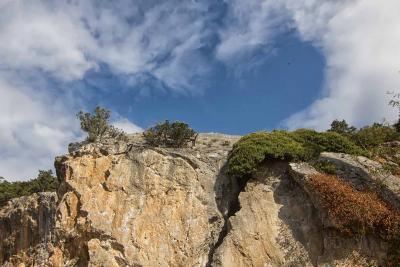 Прикрепленное изображение: _MG_8024м.jpg